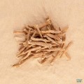 Ashwagandha.jpg